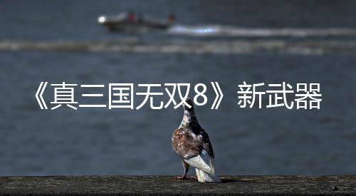 器昊真转锤新武无双演示三国视频
