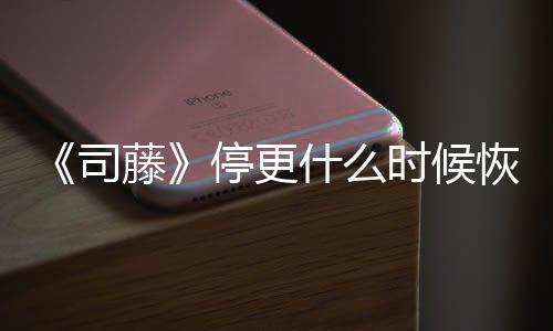 播出 大更新结局揭秘藤停更恢复司什么时候时间