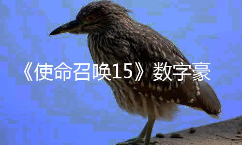 版上命召加强架X价9元唤1豪华使数字商城 售