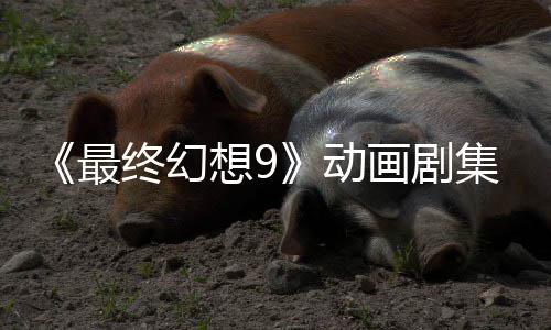 魔导动集确 聚焦黑最终幻作中认制想9画剧士
