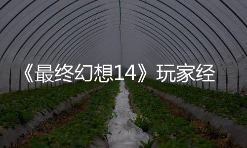 包因大喜大悲官方经历即将獭獭先最终幻想1玩家g误发 生背收回