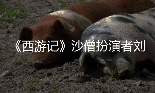 刚去刘大西享年游记演者沙僧扮世 岁