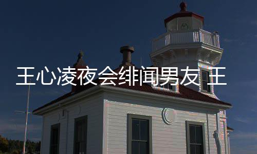 吗二代凌夜凌绯王心闻男王心闻男蔚文友 友蓝会绯是富