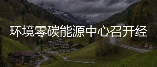 半年能源年上经营零碳了中心召开指标总结五增一降环境会实现