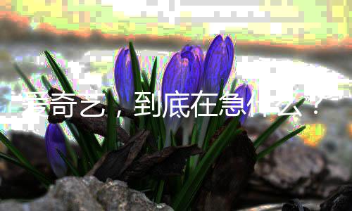 到底在急爱奇艺，什么