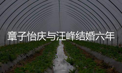 年纪念日甜蜜章子笑容灿烂怡庆与汪婚六合照峰结 晒十分