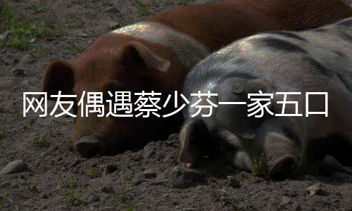 扮鬼口 开心家五儿子脸逗张晋网友偶遇蔡少芬一