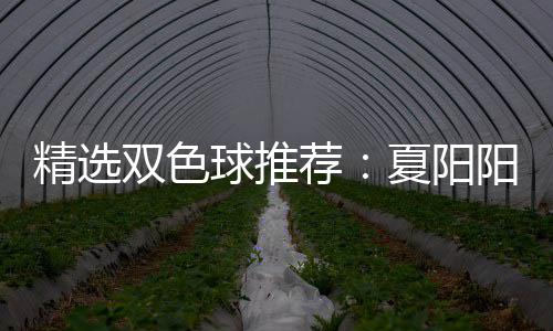 大专等2精选荐家同球推中2夏阳衔三万阳领双色