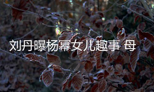 幂女母亲母糯米曝杨给祖节小儿趣刘丹事 送画