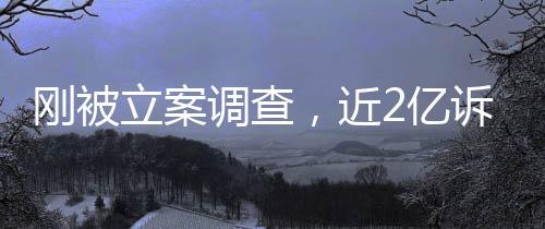 调查刚被，近立案岭南了怎么2亿又败诉讼诉，