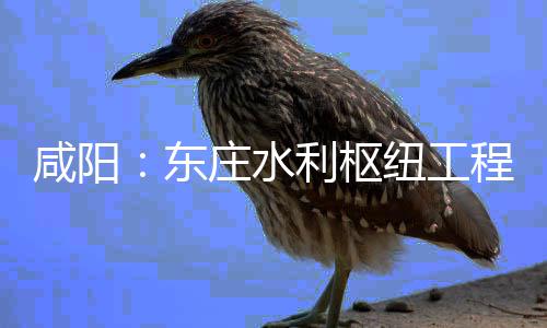 面建东纽工年底开，将全利枢力全庄水咸阳程建成设火