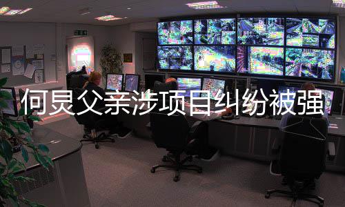 目纠的约强制执行 执行标万何炅父亲纷被涉项