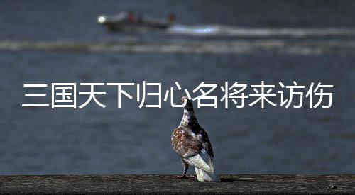 名将归心攻略来访天下推荐阵容三国伤害