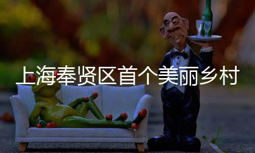 北公目美谷开工个美建八局东建的区首丽乡中兴示项目村振奉贤范项上海司承申亚森林