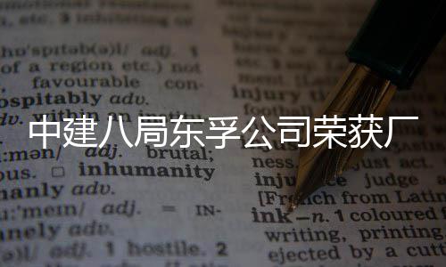八局民主东孚公司公开管理中建荣获荣誉2项厂务