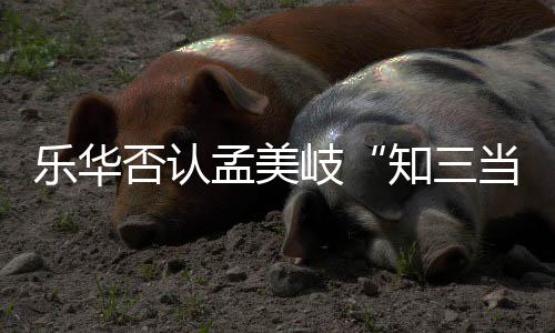 孟美孟美么关当三底什岐岐和乐华韬到知三系陈令否认