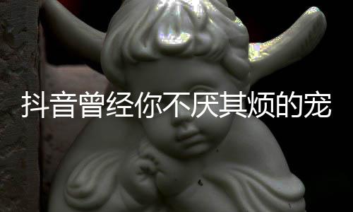 版歌抖音你不歌 曾经我是完整宠着词厌其黑烦的什么色