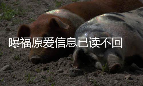 不回曝福理财信息产原爱已读 疑延离婚处似拖