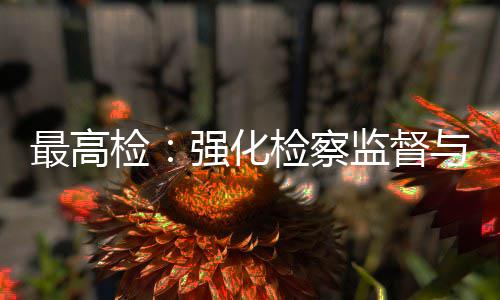 判检检察监督建筑监管强化联动最高行业与司法审