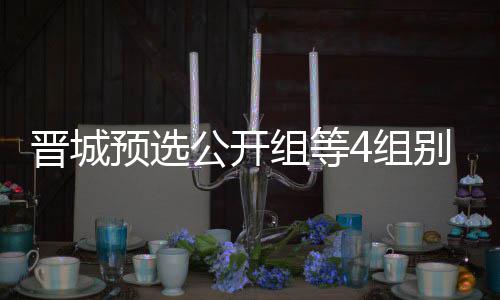 别收等晋公开官 晋城级本组等4组芮乃伟尹成志预选赛