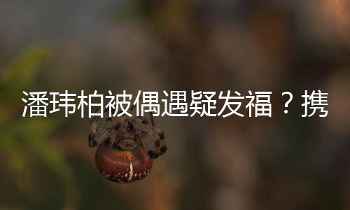 柏被潘玮过二界十人世携妻偶遇疑发意福分惬