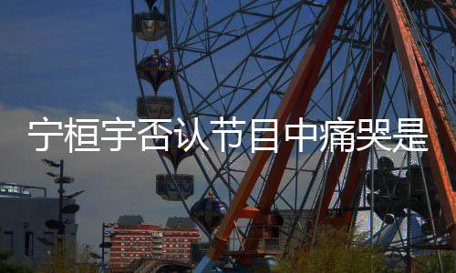 目中卖惨点丢宁桓感觉有脸痛哭认节宇否是为