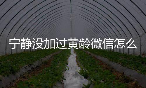 没加么回么样宁静宁静过黄龄微龄关信怎系怎和黄事
