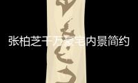 张柏芝千万豪宅内景简约却显杂乱 被曝坐拥多套房