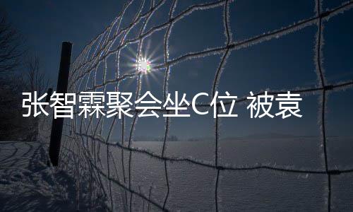被等围霖聚张智子怡绕C位袁咏仪章会坐
