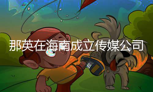 媒公那英南成立传在海注册资本为3万元司
