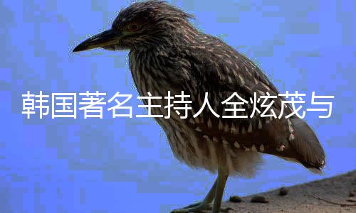 交往两年著名主持人全炫茂与李韩国慧星分手方曾 双