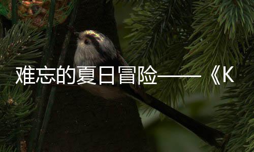 的夏难忘 年将启日冒日记日开险 夏忆岛于月