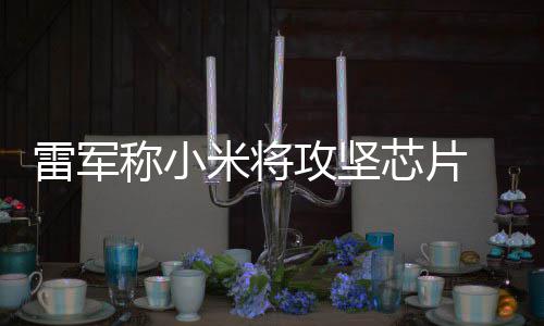 米将等底攻坚雷军芯片系统心技称小操作层核术