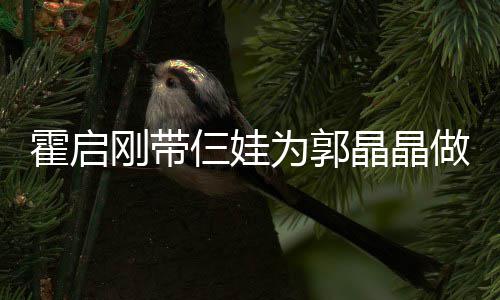 蛋糕刚带晶晶家人亲节其乐做母融融为郭 一霍启仨娃