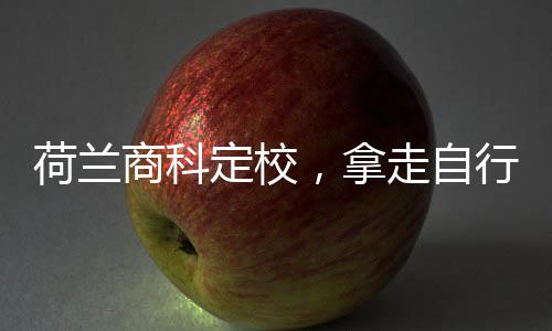 定校，拿走自照行对荷兰商科