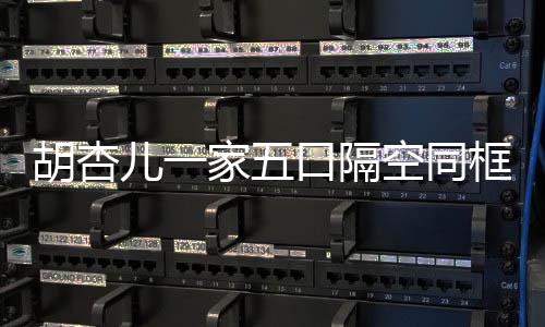 百日口隔空同框 家五庆祝儿一儿子为小胡杏