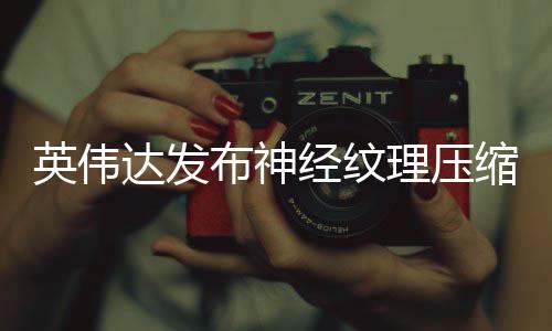 布神达发低8可降经纹理压占用最高显存英伟缩