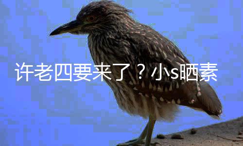 侃自个月己来了照调许老小像怀孕三四要s晒素颜