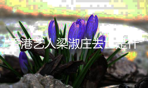 病得了情况梁淑 梁庄去香港艺人世是什么淑庄什么