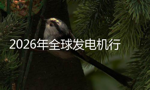 名电机年全内外规模及排球发领行业先企业国份额市场市场